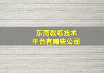 东莞教练技术平台有哪些公司