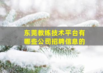 东莞教练技术平台有哪些公司招聘信息的