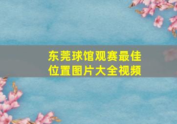 东莞球馆观赛最佳位置图片大全视频