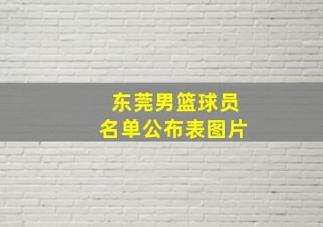 东莞男篮球员名单公布表图片