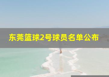 东莞篮球2号球员名单公布