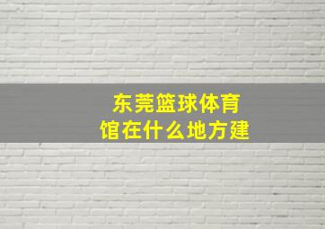 东莞篮球体育馆在什么地方建