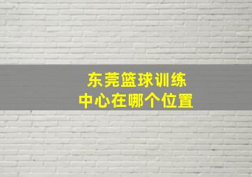 东莞篮球训练中心在哪个位置