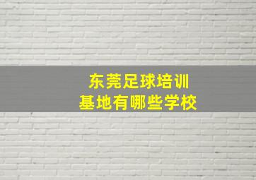 东莞足球培训基地有哪些学校