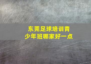 东莞足球培训青少年班哪家好一点