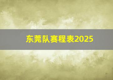 东莞队赛程表2025