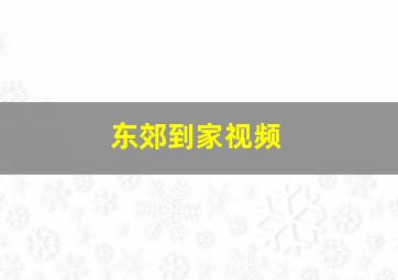 东郊到家视频