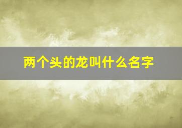 两个头的龙叫什么名字