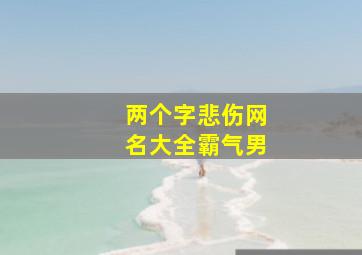 两个字悲伤网名大全霸气男