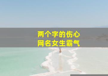 两个字的伤心网名女生霸气