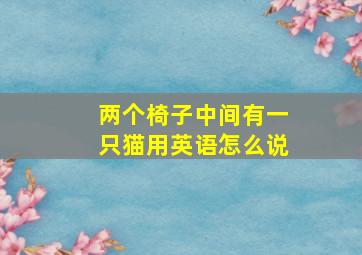 两个椅子中间有一只猫用英语怎么说