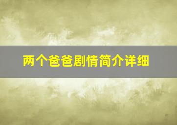 两个爸爸剧情简介详细