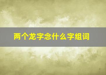 两个龙字念什么字组词