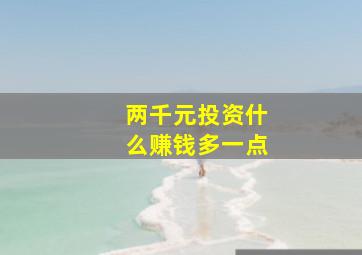 两千元投资什么赚钱多一点