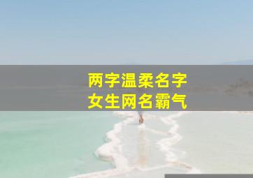 两字温柔名字女生网名霸气