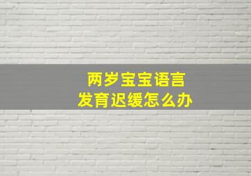 两岁宝宝语言发育迟缓怎么办