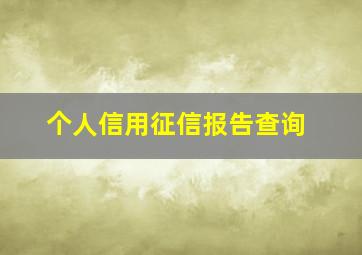 个人信用征信报告查询