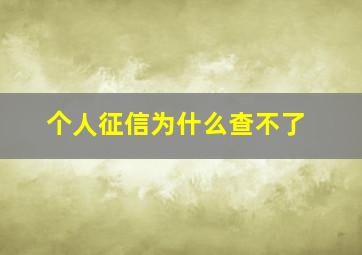 个人征信为什么查不了