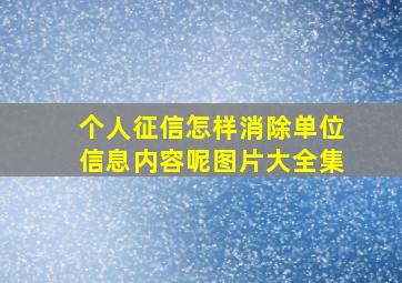 个人征信怎样消除单位信息内容呢图片大全集