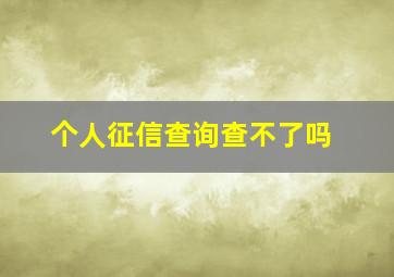 个人征信查询查不了吗