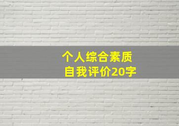 个人综合素质自我评价20字