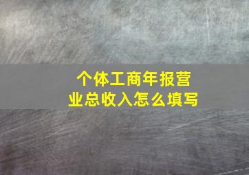 个体工商年报营业总收入怎么填写