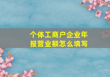 个体工商户企业年报营业额怎么填写