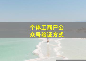 个体工商户公众号验证方式