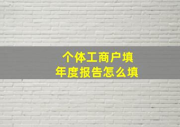 个体工商户填年度报告怎么填