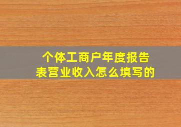 个体工商户年度报告表营业收入怎么填写的