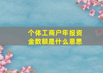 个体工商户年报资金数额是什么意思