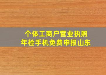 个体工商户营业执照年检手机免费申报山东