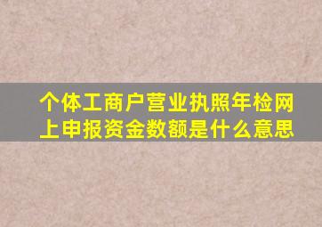 个体工商户营业执照年检网上申报资金数额是什么意思