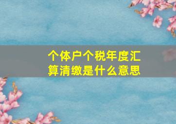 个体户个税年度汇算清缴是什么意思