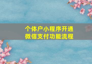 个体户小程序开通微信支付功能流程