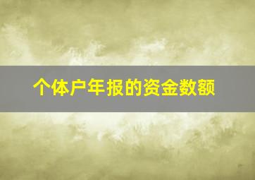 个体户年报的资金数额