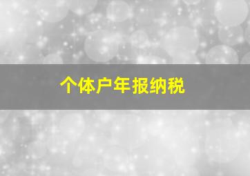 个体户年报纳税