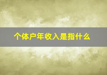 个体户年收入是指什么