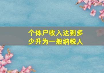 个体户收入达到多少升为一般纳税人