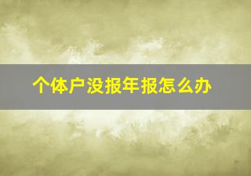 个体户没报年报怎么办