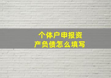 个体户申报资产负债怎么填写