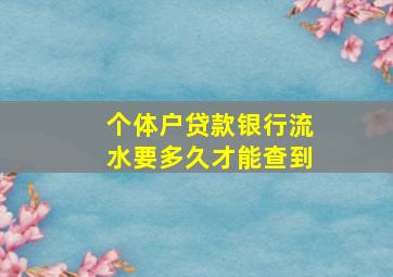 个体户贷款银行流水要多久才能查到