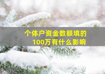 个体户资金数额填的100万有什么影响