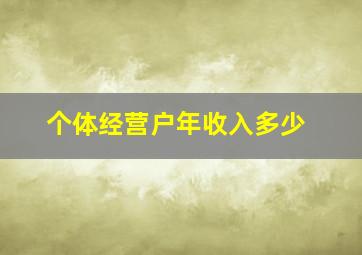 个体经营户年收入多少