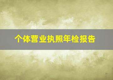 个体营业执照年检报告