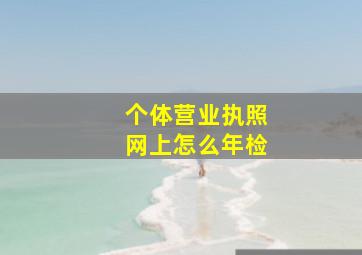 个体营业执照网上怎么年检