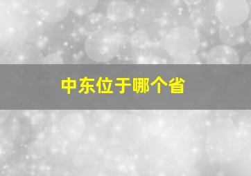 中东位于哪个省