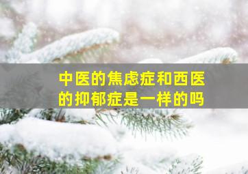 中医的焦虑症和西医的抑郁症是一样的吗