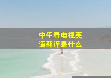 中午看电视英语翻译是什么