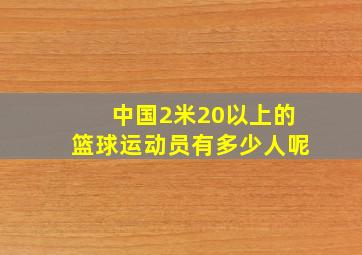 中国2米20以上的篮球运动员有多少人呢